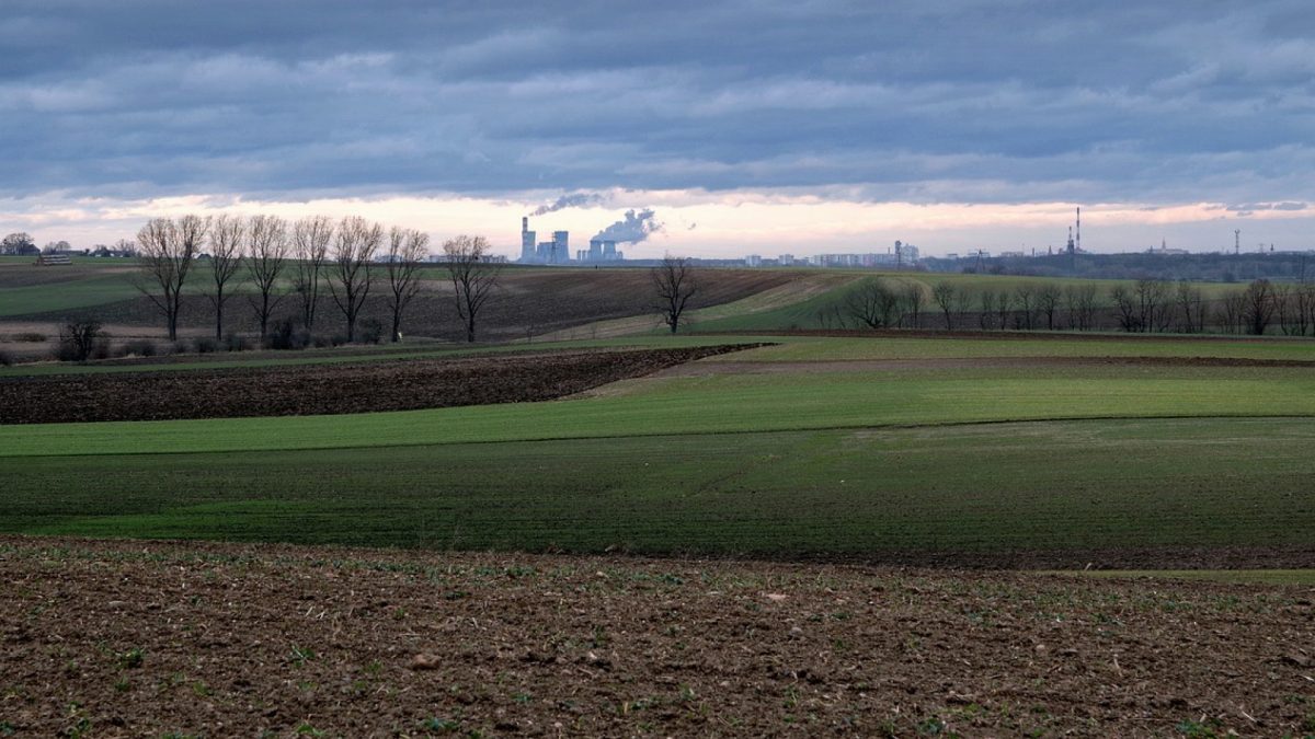 Quelques sorties dans l’Orne pour le week-end