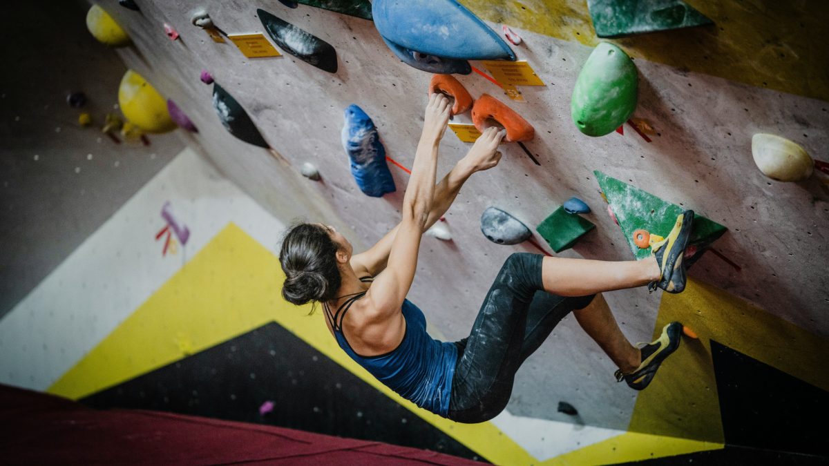 Mettez votre salle de sport au sommet avec un mur d'escalade