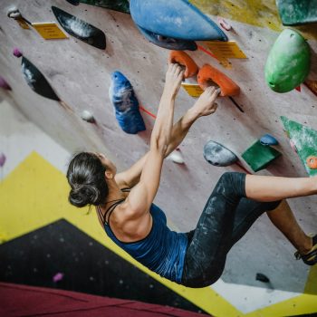 Mettez votre salle de sport au sommet avec un mur d'escalade